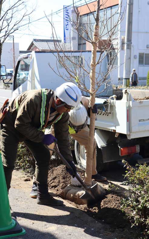 はなみずき通りを守る取り組み