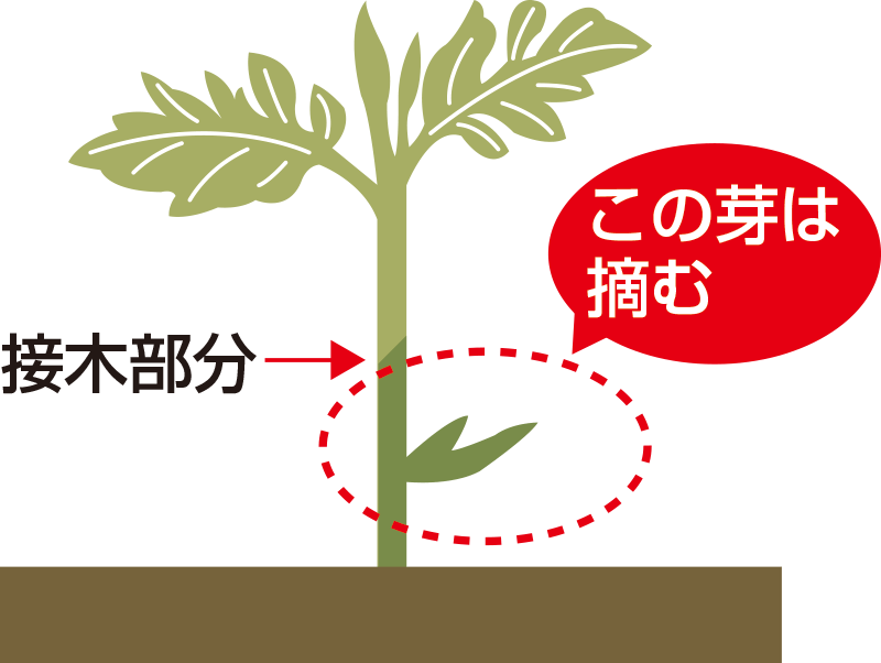 特徴とメリット