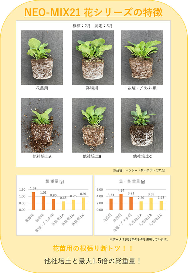 花苗用特徴