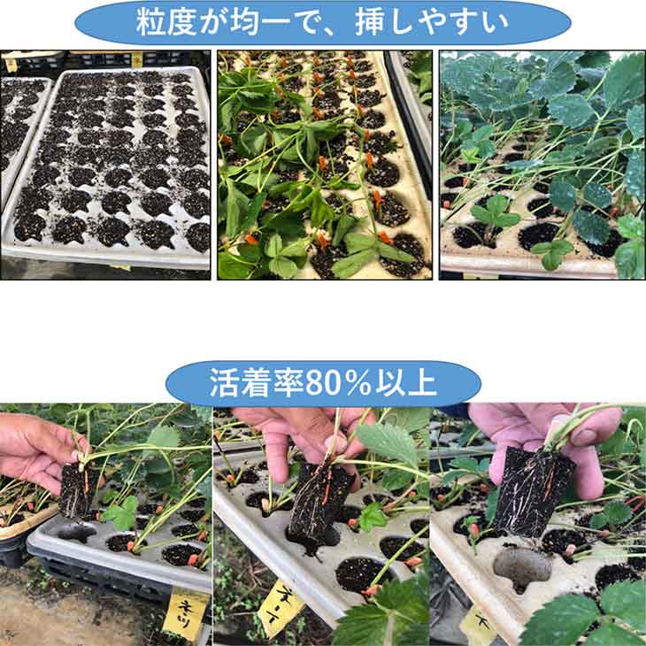 プラスチックボトム