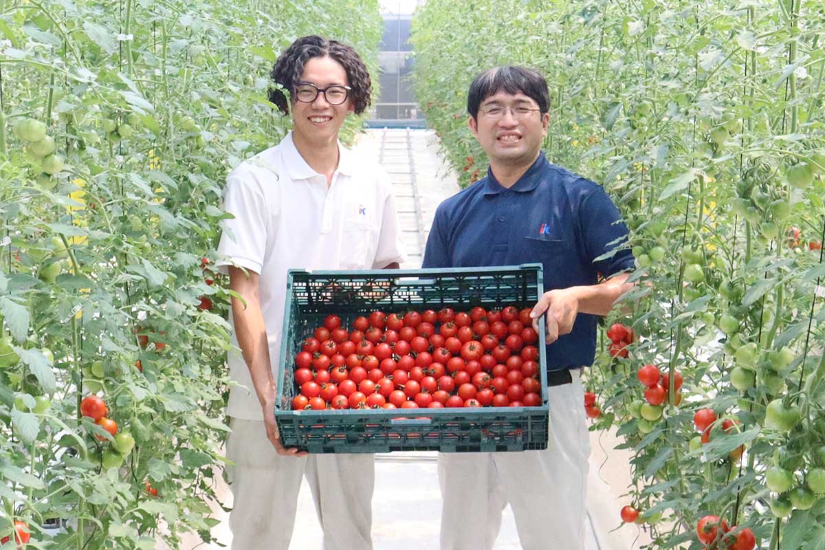新事業開発